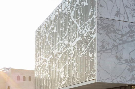 Branches Crossing the Facade of a Building